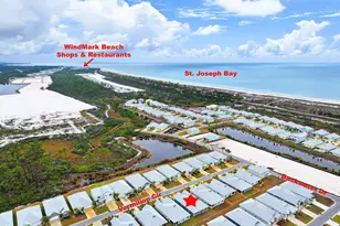 542 Vermilion Cir, Port Saint Joe, FL 32456 - Photo 44