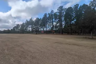 1900 Olive Ln, Bonifay, FL 32425 - Photo 38