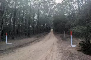 1900 Olive Ln, Bonifay, FL 32425 - Photo 44