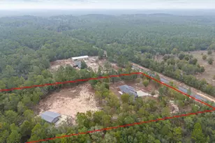 5570 Mt Olive Rd, Crestview, FL 32539 - Photo 54