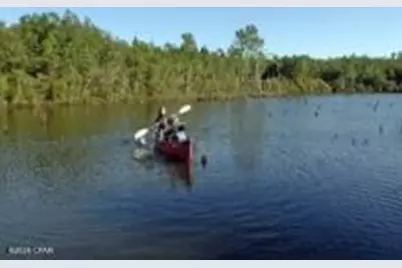 0 Greenbrier Drive #Lot 25, Chipley, FL 32428 - Photo 2