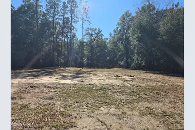 2215 Natural Wells Drive, Tallahassee, FL 32305 - Photo 4