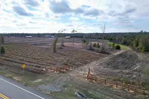 12040 SW State Road 73, Clarksville, FL 32430 - Photo 1