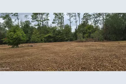 4561 Basswood Road, Greenwood, FL 32443 - Photo 6