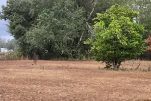 4561 Basswood Rd, Greenwood, FL 32443 - Photo 2