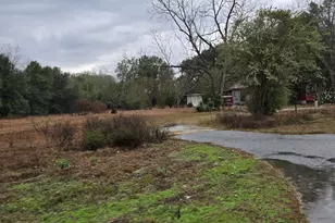 4561 Basswood Rd, Greenwood, FL 32443 - Photo 4