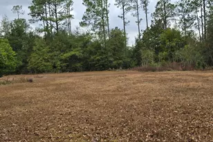 4561 Basswood Rd, Greenwood, FL 32443 - Photo 6