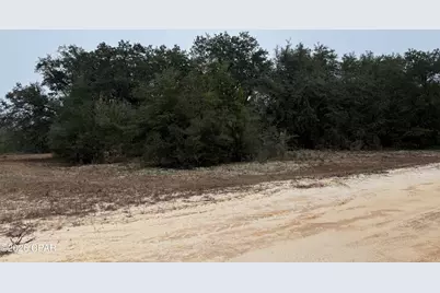 00 Leaf Court, Marianna, FL 32448 - Photo 4