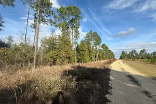 0 Glenmore Ct, Marianna, FL 32446 - Photo 1