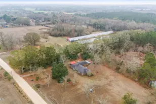 1208 Alex Brown Rd, Bonifay, FL 32425 - Photo 48