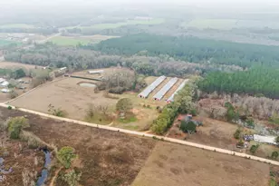 1208 Alex Brown Rd, Bonifay, FL 32425 - Photo 44