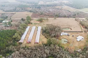 1208 Alex Brown Rd, Bonifay, FL 32425 - Photo 2