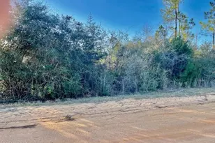 0 Carver Circle, Alford, FL 32420 - Photo 1