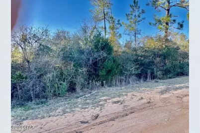 0 Carver Circle, Alford, FL 32420 - Photo 6