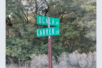 0 Carver Circle, Alford, FL 32420 - Photo 10