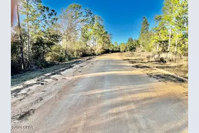 0 Carver Circle, Alford, FL 32420 - Photo 8