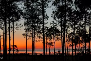 7603 Coastal Hammock Trail, Panama City Beach, FL 32413 - Photo 28