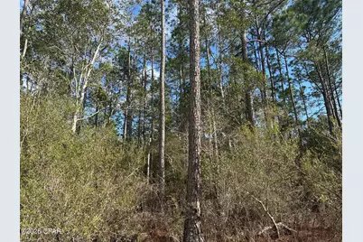 5033 Douglas Ferry Road, Caryville, FL 32427 - Photo 2