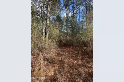 5033 Douglas Ferry Road, Caryville, FL 32427 - Photo 4