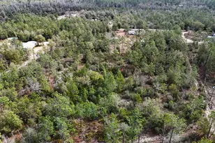 23588 NW Lamont Rd, Fountain, FL 32438 - Photo 42