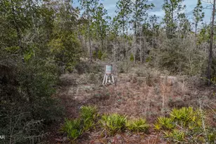 23588 NW Lamont Rd, Fountain, FL 32438 - Photo 26