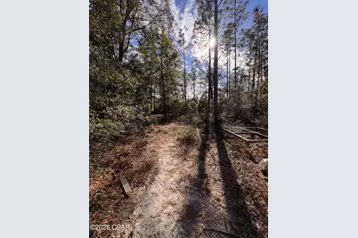 23588 NW Lamont Road, Fountain, FL 32438 - Photo 28