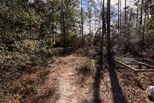 23588 NW Lamont Rd, Fountain, FL 32438 - Photo 28