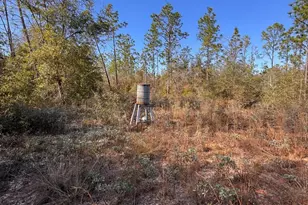 23588 NW Lamont Rd, Fountain, FL 32438 - Photo 6