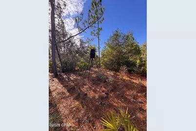 23588 NW Lamont Road, Fountain, FL 32438 - Photo 24