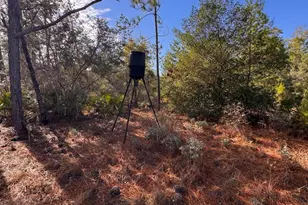 23588 NW Lamont Rd, Fountain, FL 32438 - Photo 24