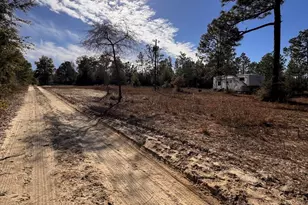 23588 NW Lamont Rd, Fountain, FL 32438 - Photo 16