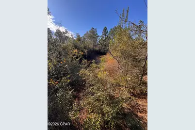 23588 NW Lamont Road, Fountain, FL 32438 - Photo 14