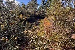 23588 NW Lamont Rd, Fountain, FL 32438 - Photo 14