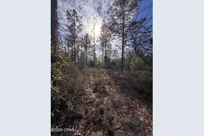 23588 NW Lamont Road, Fountain, FL 32438 - Photo 38