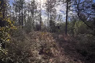 23588 NW Lamont Rd, Fountain, FL 32438 - Photo 38