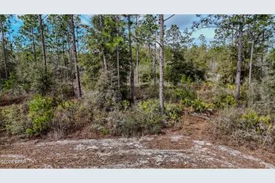 23588 NW Lamont Road, Fountain, FL 32438 - Photo 44