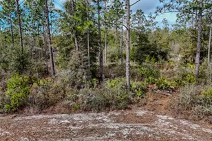 23588 NW Lamont Rd, Fountain, FL 32438 - Photo 44