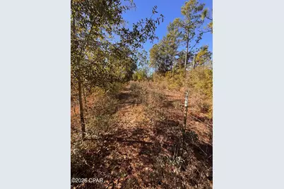 23588 NW Lamont Road, Fountain, FL 32438 - Photo 30