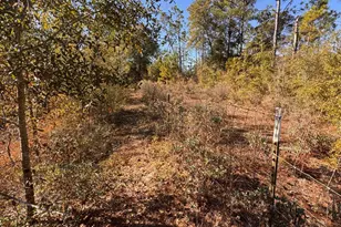 23588 NW Lamont Rd, Fountain, FL 32438 - Photo 30