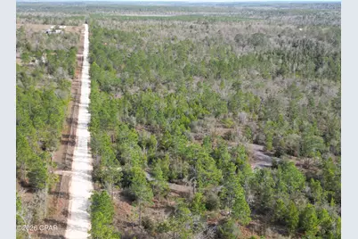 4343 NW Twin Ponds Road, Altha, FL 32421 - Photo 6