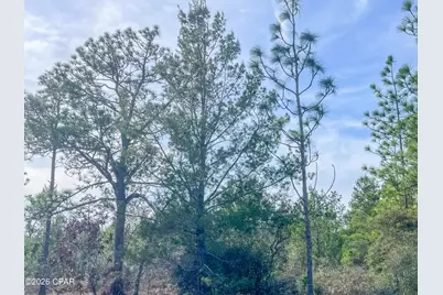 4343 NW Twin Ponds Road, Altha, FL 32421 - Photo 12