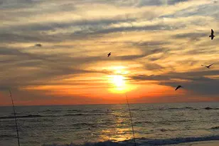 592 Bonnet St, Port Saint Joe, FL 32456 - Photo 38