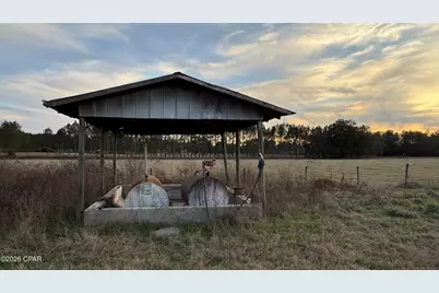 5526 Old U S Road, Malone, FL 32445 - Photo 18