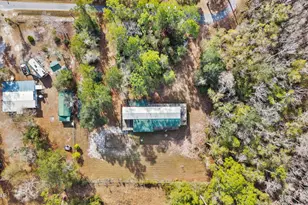 6919 Nellie Whitfield Rd, Wewahitchka, FL 32465 - Photo 12