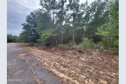 Tbd Luar Avenue, Chipley, FL 32428 - Photo 2