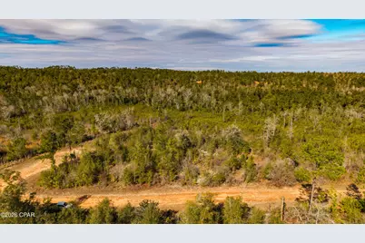 0 Spirit Court, Alford, FL 32420 - Photo 4