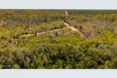 0 Spirit Court, Alford, FL 32420 - Photo 12