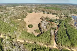 1363 Myrtle Rd, Westville, FL 32464 - Photo 42