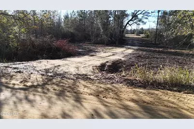 3120 Mount Olive Road, Bonifay, FL 32425 - Photo 6