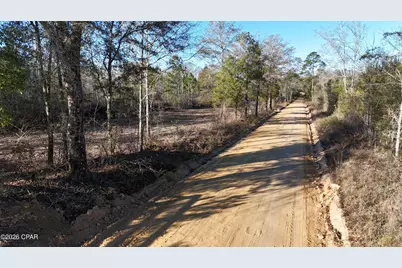 3120 Mount Olive Road, Bonifay, FL 32425 - Photo 4